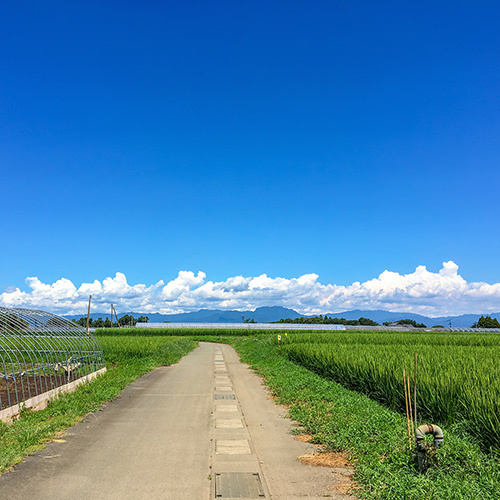 田舎道と青空